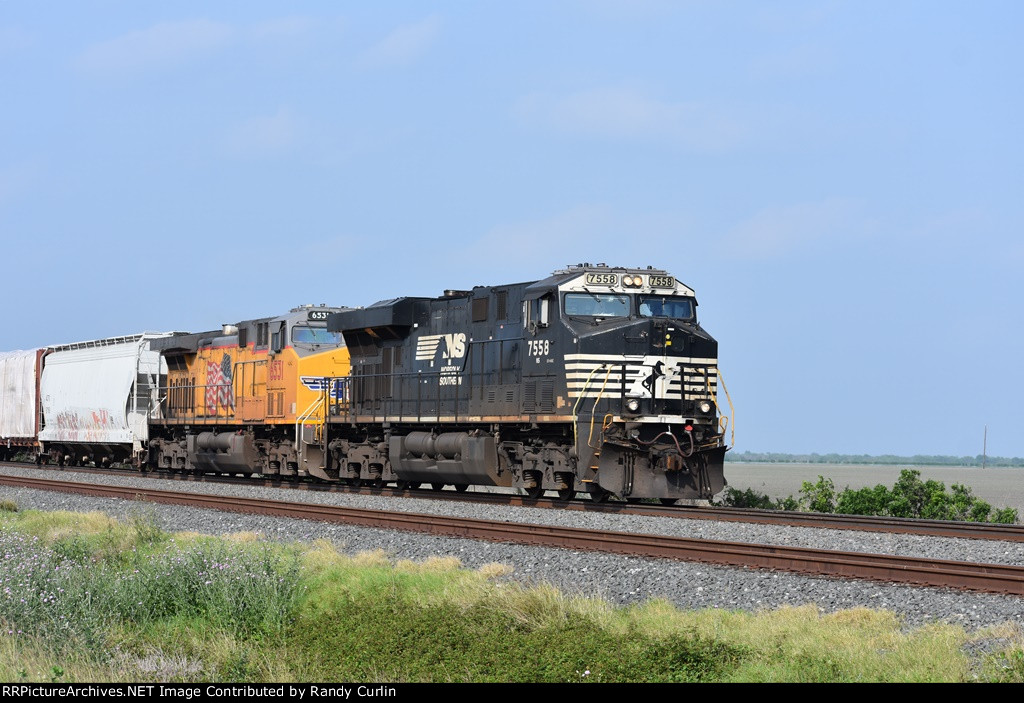 NS 7558 South